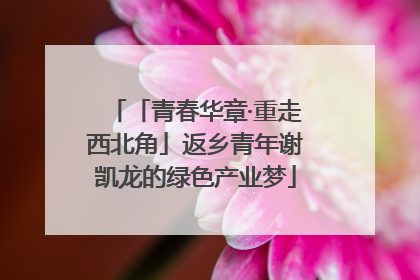 「青春华章·重走西北角」返乡青年谢凯龙的绿色产业梦